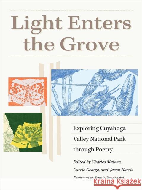 Light Enters the Grove: Exploring Cuyahoga Valley National Park through Poetry  9781606354858 Kent State University Press