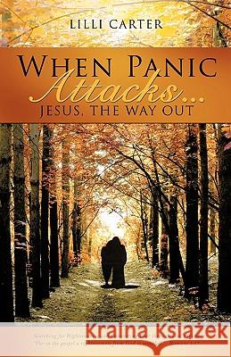 When Panic Attacks ... LILLI Carter 9781606479599