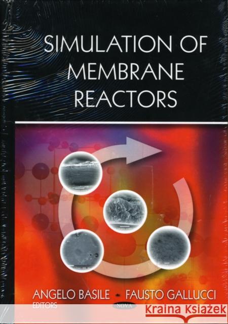 Simulation of Membrane Reactors Angelo Basile, Fausto Gallucci 9781606924259 Nova Science Publishers Inc