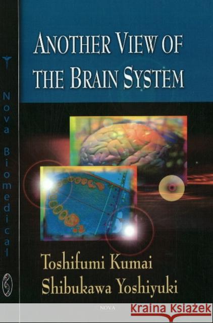 Another View of the Brain System Toshifumi Kumai, Shibukawa Yoshiyuki 9781606925935