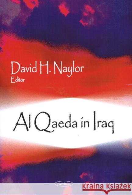 Al Qaeda in Iraq David H Naylor 9781606926529 Nova Science Publishers Inc