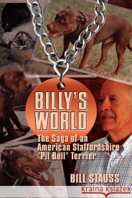 Billy's World: The Saga Of An American Staffordshire 