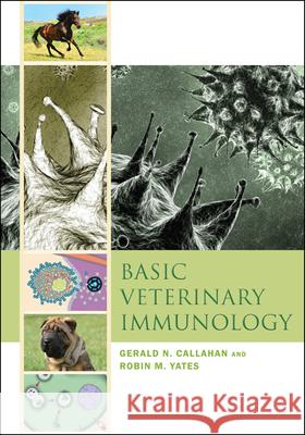 Basic Veterinary Immunology Gerald N. Callahan Robin M. Yates 9781607322184 University Press of Colorado