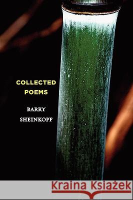 Collected Poems Barry Sheinkopf 9781607438618 Full Court Press