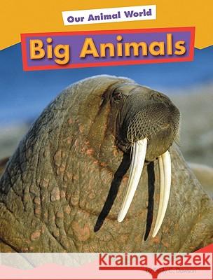 Big Animals Heather Adamson 9781607530084 Amicus