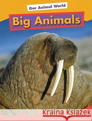 Big Animals Heather Adamson 9781607530084