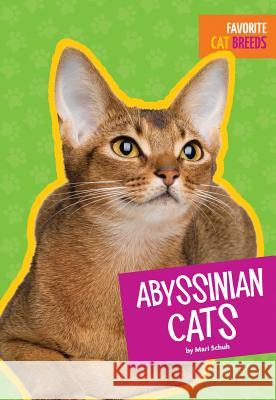 Abyssinian Cats Mari C. Schuh 9781607539667 Amicus High Interest