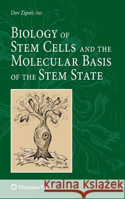 Biology of Stem Cells and the Molecular Basis of the Stem State Dov Zipori 9781607611295 Humana Press