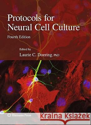 Protocols for Neural Cell Culture Laurie C. Doering 9781607612919 Humana Press