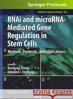 Rnai and Microrna-Mediated Gene Regulation in Stem Cells: Methods, Protocols, and Applications Zhang, Baohong 9781607617686