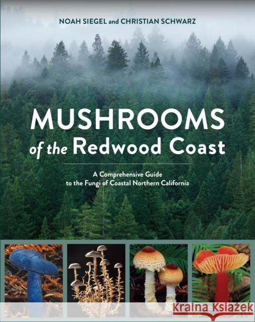 Mushrooms of the Redwood Coast: A Comprehensive Guide to the Fungi of Coastal Northern California Christian Schwarz Noah Siegel 9781607748175 Ten Speed Press