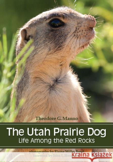 The Utah Prairie Dog: Life Among the Red Rocks Theodore G. Manno Elaine Mille John Hoogland 9781607813668 University of Utah Press