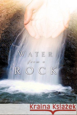 Water from a Rock P. L. Pearce 9781607916024
