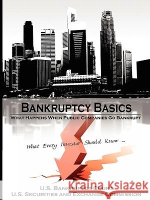 Bankruptcy Basics: What Happens When Public Companies Go Bankrupt - What Every Investor Should Know... U. S. Bankruptcy Court 9781607960140 WWW.Bnpublishing.Net
