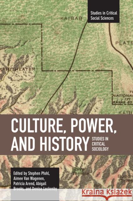 Culture, Power, and History: Studies in Critical Sociology Abigail Brooks and Denis Patrici 9781608460434 Haymarket Books