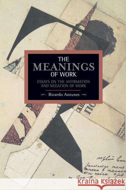 The Meanings of Work: Essays on the Affirmation and Negation of Work Antunes, Ricardo 9781608463381