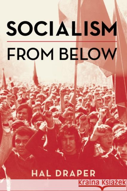 Socialism from Below  9781608467921 Haymarket Books