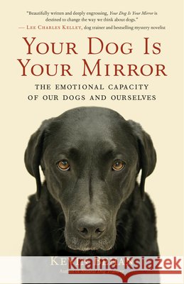Your Dog is Your Mirror Kevin Behan 9781608680887