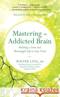 Mastering the Addicted Brain: Building a Sane and Meaningful Life to Stay Clean  9781608685004 New World Library