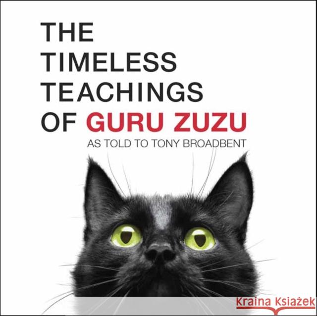 The Timeless Teachings of Guru Zuzu Tony Broadbent 9781608685936 New World Library
