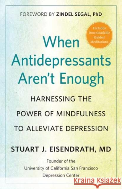 When Antidepressants Aren't Enough: Harnessing the Power of Mindfulness to Alleviate Depression Stuart J. Eisendrath, Zindel Segal 9781608685974 New World Library