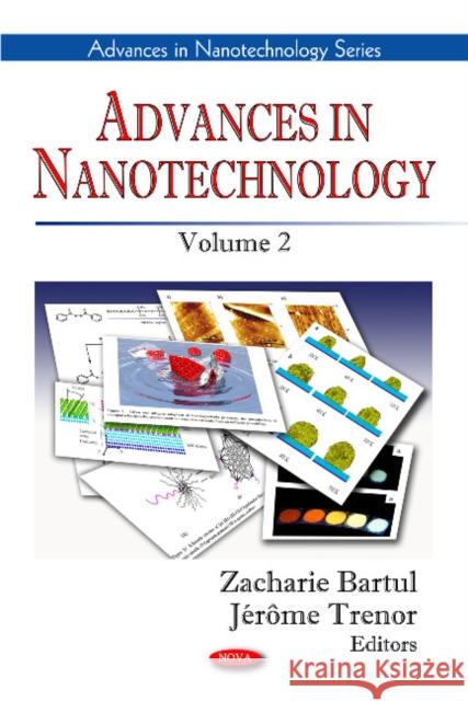 Advances in Nanotechnology: Volume 2 Zacharie Bartul, Jérôme Trenor 9781608761999 Nova Science Publishers Inc