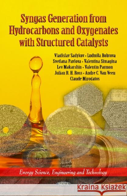 Syngas Generation from Hydrocarbons & Oxygenates with Structured Catalysts Vladislav Sadykov, L Bobrova, S Pavlova, V Simagina, L Makarshin, V Parmon, Julian R H Ross, Claude Mirodatos 9781608763238