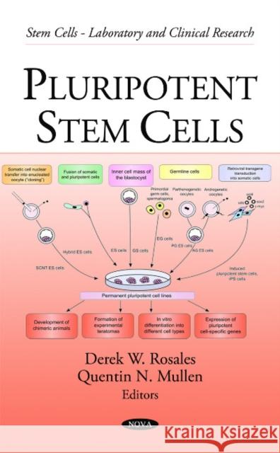 Pluripotent Stem Cells Derek W Rosales, Quentin N Mullen 9781608767380 Nova Science Publishers Inc