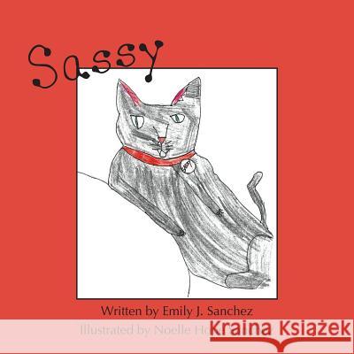 Sassy Emily Sanchez Noelle Sanchez 9781608806058 Eber & Wein Publishing