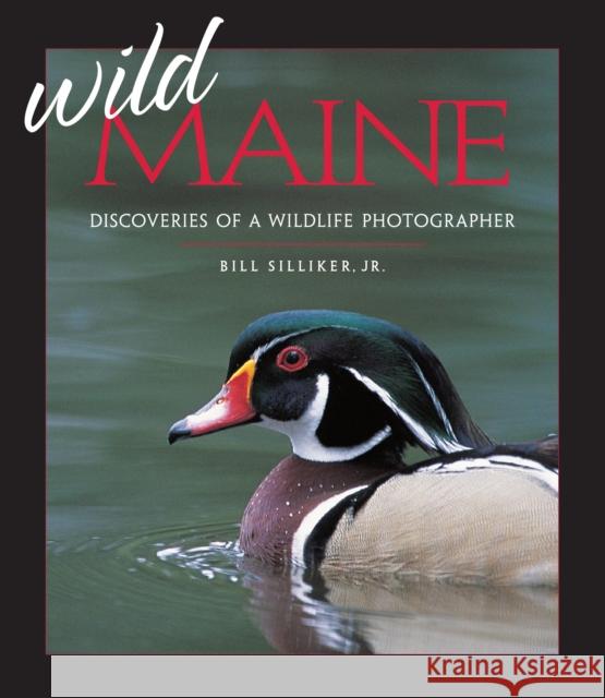 Wild Maine: Discoveries of a Wildlife Photographer Bill, Jr. Silliker 9781608934560 Down East Books