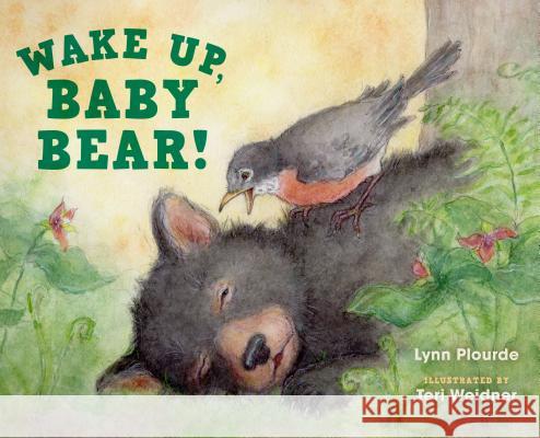 Wake Up, Baby Bear! Lynn Plourde Teri Weidner 9781608939718 Down East Books