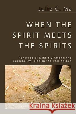 When the Spirit Meets the Spirits Julie C. Ma 9781608994649 Wipf & Stock Publishers