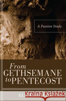 From Gethsemane to Pentecost Elizabeth Danna 9781608998357 Wipf & Stock Publishers