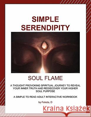 Simple Serendipity-Soul Flame D. Feketa 9781609105921 Booklocker Inc.,US