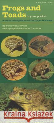 Frogs and Toads in Your Pocket: A Guide to Amphibians of the Upper Midwest Terry Vandewalle Suzanne L. Collins 9781609380595 University of Iowa Press