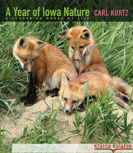 A Year of Iowa Nature: Discovering Where We Live Carl Kurtz 9781609382407 University of Iowa Press