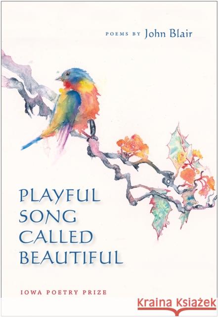 Playful Song Called Beautiful John Blair 9781609383992