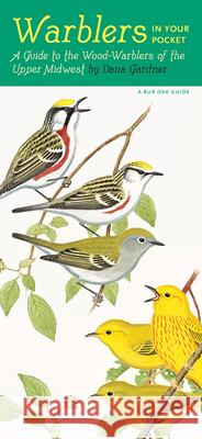 Warblers in Your Pocket: A Guide to Wood-Warblers of the Upper Midwest Dana Gardner 9781609384296