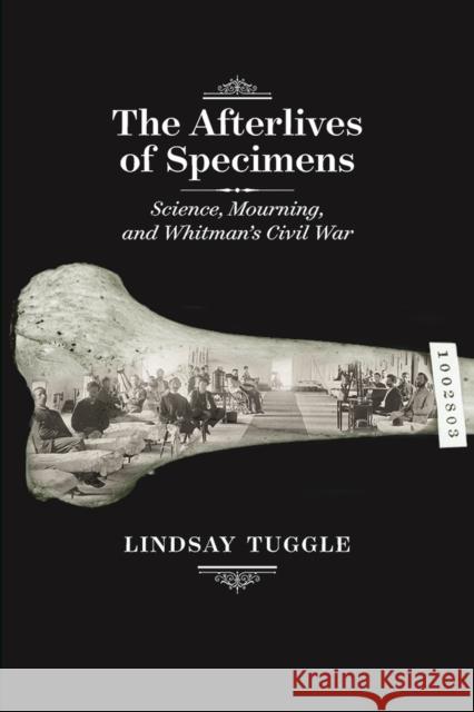 The Afterlives of Specimens: Science, Mourning, and Whitman's Civil War Lindsay Tuggle 9781609385392 University of Iowa Press