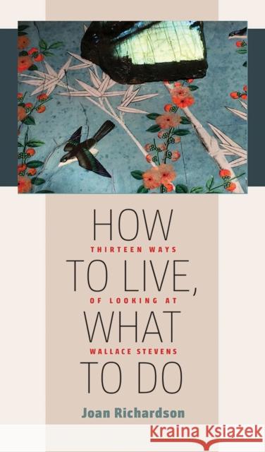 How to Live, What to Do: Thirteen Ways of Looking at Wallace Stevens Joan Richardson 9781609385491 University of Iowa Press