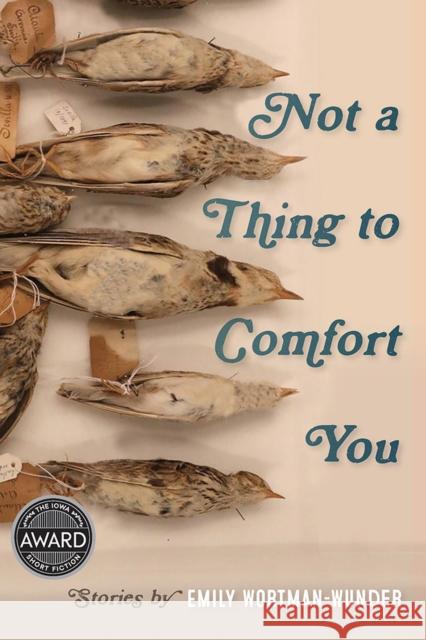 Not a Thing to Comfort You Emily Wortman-Wunder 9781609386818 University of Iowa Press