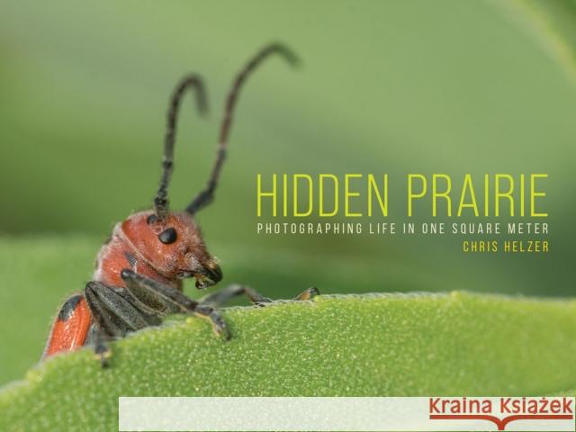 Hidden Prairie: Photographing Life in One Square Meter Helzer, Chris 9781609386931 University of Iowa Press