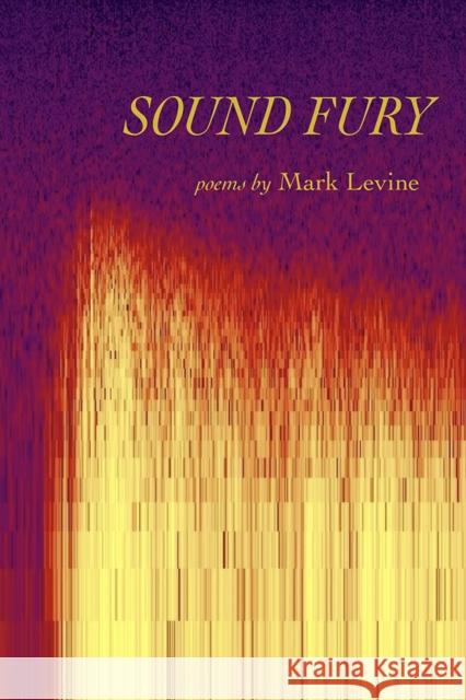 Sound Fury: Poems Levine, Mark 9781609388690 University of Iowa Press