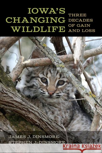 Iowa's Changing Wildlife: Three Decades of Gain and Loss Stephen J. Dinsmore 9781609389253 University of Iowa Press