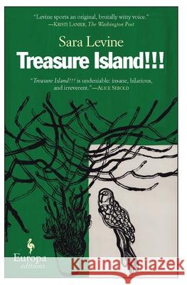 Treasure Island!!! Sara Levine 9781609450618