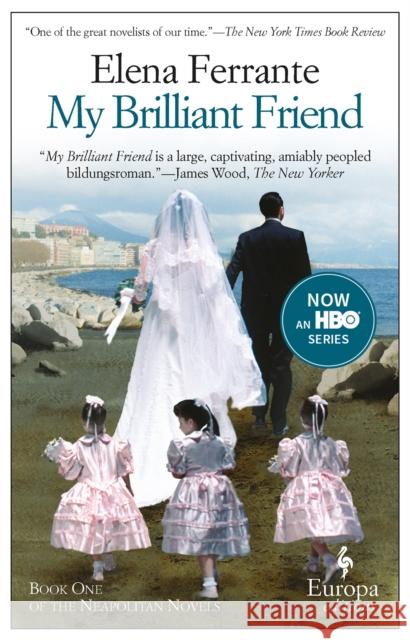 My Brilliant Friend: The International No. 1 Bestseller  9781609450786 Europa Editions