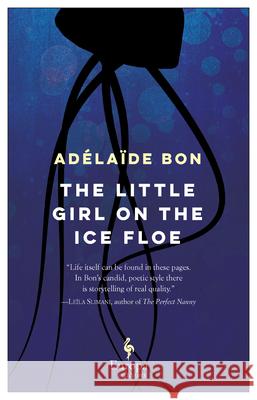 The Little Girl on the Ice Floe  9781609455156 Europa Editions