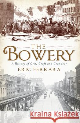 The Bowery: A History of Grit, Graft and Grandeur Eric Ferrara 9781609491789