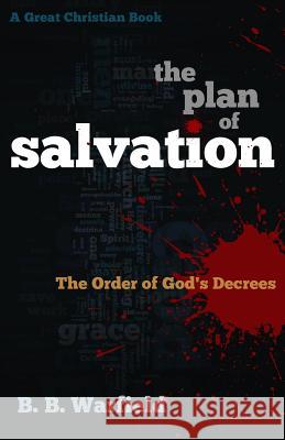 The Plan of Salvation: The order of God's decrees Rotolo, Michael 9781610101455