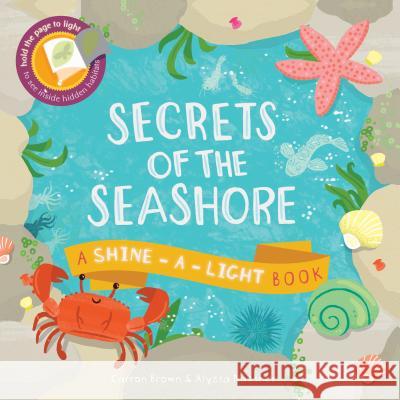 Secrets of the Seashore Carron Brown Alyssa Nassner 9781610673099